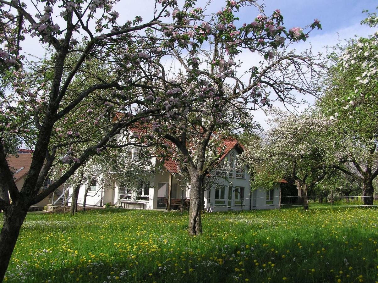 Hof Bauer Appartement Zaisenhausen Buitenkant foto